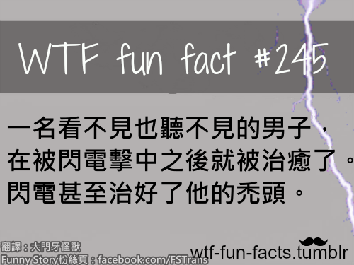 tumblr_m8rxqmS5jM1roqv59o1_500