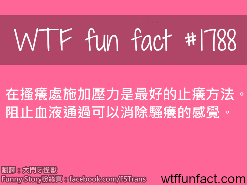 tumblr_mrvzqbREj21roqv59o1_500