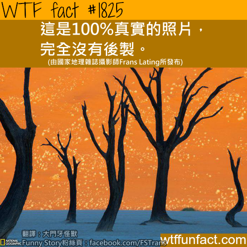 tumblr_msmvjgBtZC1roqv59o1_500