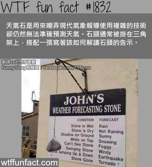 tumblr_mstbj7ra7j1roqv59o1_500