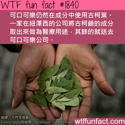 tumblr_msxorakibd1roqv59o1_500