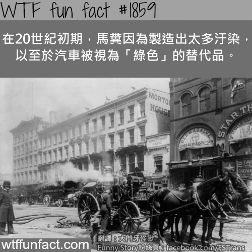 tumblr_mtaj32QJUK1roqv59o1_500