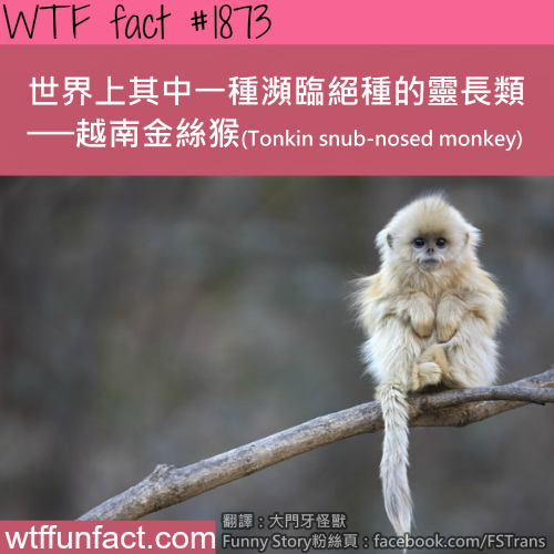 tumblr_mtjm854eqj1roqv59o1_500