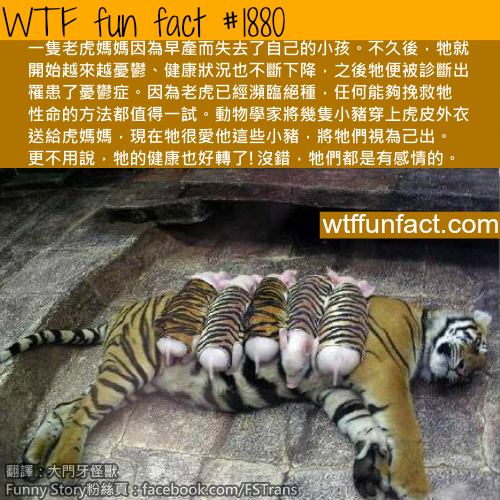 tumblr_mtpe6yfBqI1roqv59o1_500