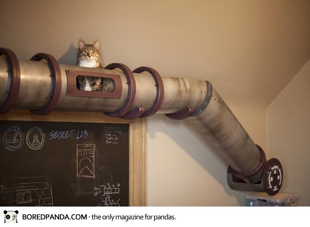 cat-transit-system-7