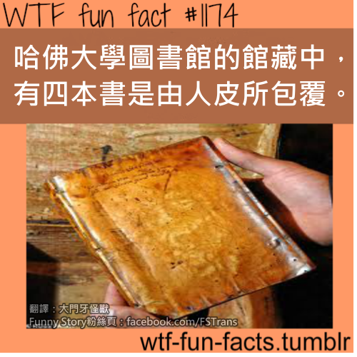 tumblr_mianccOgtm1roqv59o1_r1_500