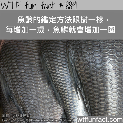 tumblr_mtuofhdjeE1roqv59o1_500