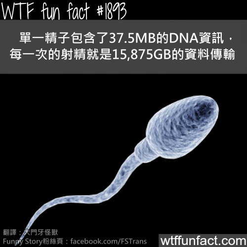 tumblr_mtwtwp27ym1roqv59o1_500