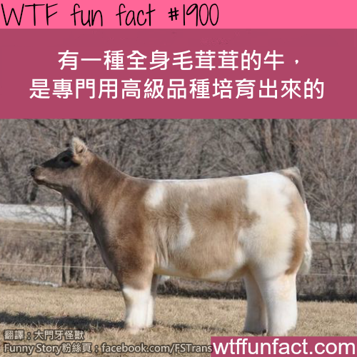 tumblr_mu2cawq0pE1roqv59o1_500