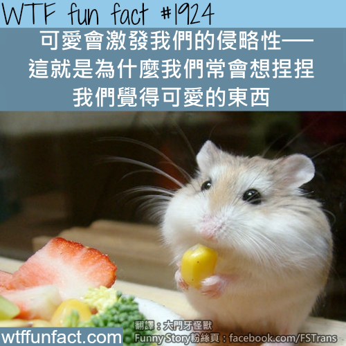 tumblr_mujarlMHnY1roqv59o1_500