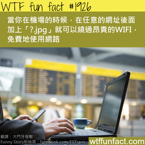 tumblr_mukb4tlI3O1roqv59o1_500