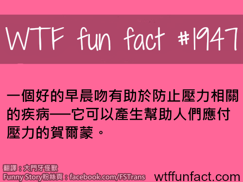 tumblr_muz4zdfYxl1roqv59o1_500