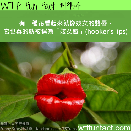 tumblr_mv3fy4dfP81roqv59o1_500