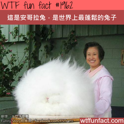 tumblr_mv98dxEjrN1roqv59o1_500