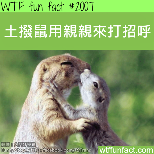 tumblr_mw2zehFSJZ1roqv59o1_500