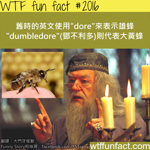 tumblr_mw9xx5cLL71roqv59o1_500