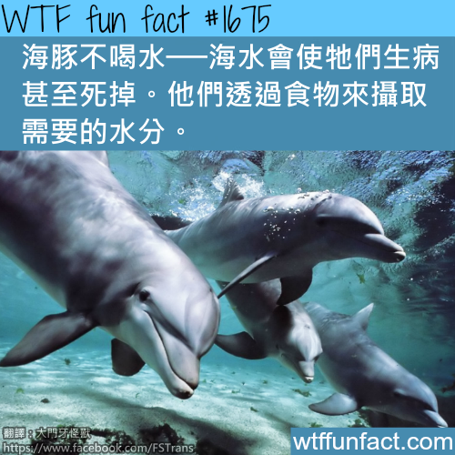 tumblr_mplbzhvs5W1roqv59o1_500